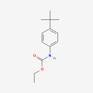 molecular formula C13H19NO2 B8356315 (4-tert-Butylphenyl)carbamic acid ethyl ester 