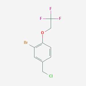 molecular formula C9H7BrClF3O B8359727 2-Bromo-4-(chloromethyl)-1-(2,2,2-trifluoroethoxy)benzene 