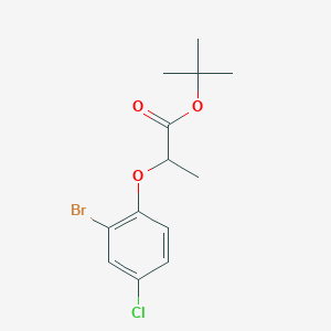 molecular formula C13H16BrClO3 B8360242 2-(2-Bromo-4-chlorophenoxy)-propanoic acid, 1,1-dimethylethyl ester 