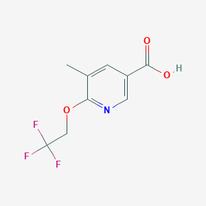 molecular formula C9H8F3NO3 B8361256 5-Methyl-6-(2,2,2-trifluoroethoxy)nicotinic acid 