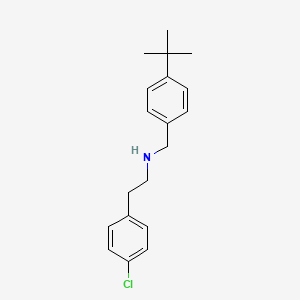 molecular formula C19H24ClN B8361890 (4-Tert-butylbenzyl)-[2-(4-chlorophenyl)-ethyl]-amine 