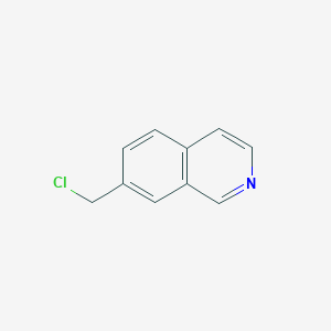 molecular formula C10H8ClN B8362312 7-Chloromethyl-isoquinoline CAS No. 407623-84-1