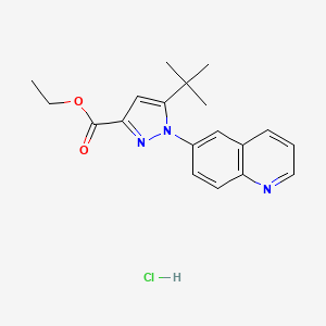 molecular formula C19H22ClN3O2 B8365959 ethyl 5-tert-butyl-1-(quinolin-6-yl)-1H-pyrazole-3-carboxylate hydrochloride 