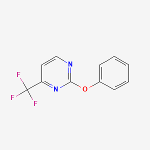 B8371068 2-Phenoxy-4-trifluoromethylpyrimidine CAS No. 1160058-85-4