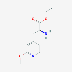 molecular formula C11H16N2O3 B8372695 Ethyl 3-(2-methoxy-4-pyridinyl)alaninate 