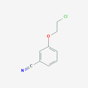 molecular formula C9H8ClNO B8378046 3-[(2-Chloroethyl)oxy]benzonitrile 