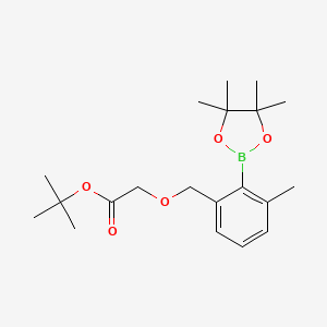 molecular formula C20H31BO5 B8379499 [3-Methyl-2-(4,4,5,5-tetramethyl-[1,3,2]dioxaborolan-2-yl)-benzyloxy]-acetic acid tert-butyl ester 