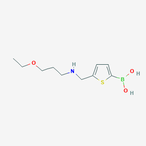 [5-({[3-(Ethyloxy)propyl]amino}methyl)-2-thienyl]boronic acid
