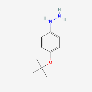 molecular formula C10H16N2O B8385394 4-t-Butoxyphenylhydrazine 