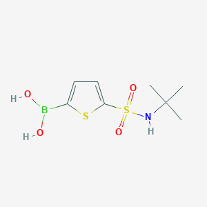 5-(N-tert-butylsulfamoyl)thiophen-2-ylboronic acid