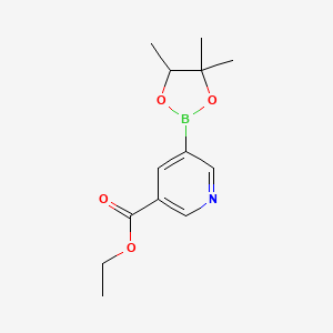 molecular formula C13H18BNO4 B8398289 5-(4,4,5-Trimethyl-[1,3,2]dioxaborolan-2-yl)-nicotinic acid ethyl ester 