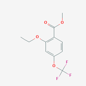 molecular formula C11H11F3O4 B8399510 Benzoic acid, 2-ethoxy-4-(trifluoromethoxy)-, methyl ester 