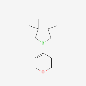 molecular formula C13H23BO B8400521 1-(3,6-Dihydro-2H-pyran-4-yl)-3,3,4,4-tetramethylborolane 