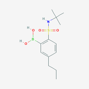 molecular formula C13H22BNO4S B8401811 (2-(N-(tert-Butyl)sulfamoyl)-5-propylphenyl)boronic acid 