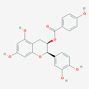 molecular formula C22H18O8 B8401839 Epicatechin 3-O-p-hydroxybenzoate CAS No. 108907-45-5