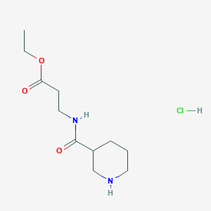 molecular formula C11H21ClN2O3 B8403717 ethyl (RS)-3-[(piperidine-3-carbonyl)-amino]-propionate hydrochloride 