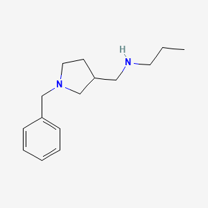 molecular formula C15H24N2 B8405081 1-(phenylmethyl)-N-propyl-3-pyrrolidinemethanamine 