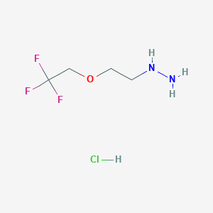 molecular formula C4H10ClF3N2O B8413332 (2-(2,2,2-Trifluoroethoxy)ethyl)hydrazine hydrochloride 