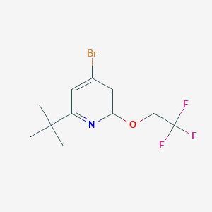 molecular formula C11H13BrF3NO B8414592 4-Bromo-2-(tert-butyl)-6-(2,2,2-trifluoroethoxy)pyridine 