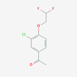 molecular formula C10H9ClF2O2 B8415233 1-(3-Chloro-4-(2,2-difluoroethoxy)phenyl)ethanone 