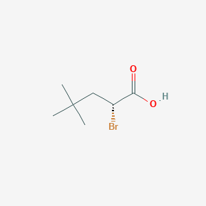 molecular formula C7H13BrO2 B8418673 (R)-2-bromo-4,4-dimethylpentanoic acid 
