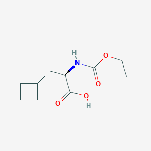 molecular formula C11H19NO4 B8420882 (R)-3-Cyclobutyl-2-((isopropoxycarbonyl)amino)propanoic acid 