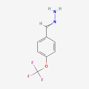 molecular formula C8H7F3N2O B8424668 [1-(4-Trifluoromethoxyphenyl)-methylidene]-hydrazine 