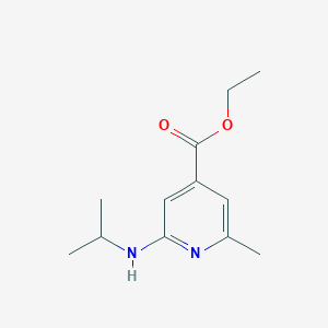 molecular formula C12H18N2O2 B8425994 Ethyl 2-(isopropylamino)-6-methylisonicotinate 