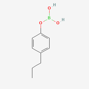 molecular formula C9H13BO3 B8427152 4-Propylphenylboric acid 