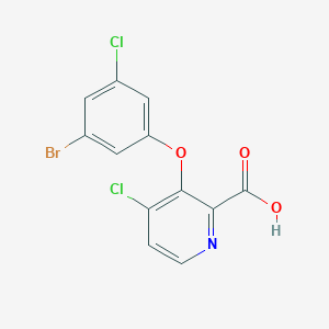 molecular formula C12H6BrCl2NO3 B8431648 3-(3-Bromo-5-chlorophenoxy)-4-chloropyridine-2-carboxylic acid 