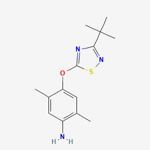 molecular formula C14H19N3OS B8433286 4-[(3-(Tert-butyl)-1,2,4-thiadiazol-5-yl)oxy]-2,5-dimethylaniline 