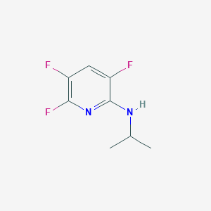 molecular formula C8H9F3N2 B8438964 2,3,5-Trifluoro-6-isopropylaminopyridine 