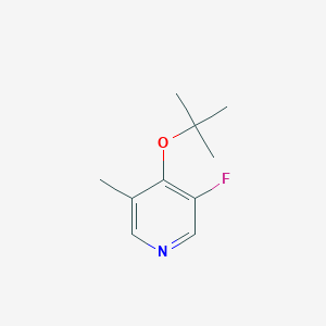 molecular formula C10H14FNO B8442012 4-t-Butoxy-5-fluoro-3-methylpyridine CAS No. 210823-90-8