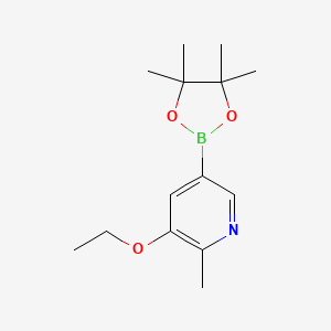molecular formula C14H22BNO3 B8447626 3-Ethoxy-2-methyl-5-(4,4,5,5-tetramethyl-[1,3,2]dioxaborolan-2-yl)-pyridine 