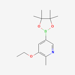 3-ethoxy-2-methyl-5-(4,4,5,5-tetramethyl-1,3,2-dioxaborolan-2-yl)pyridine