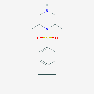 molecular formula C16H26N2O2S B8450618 1-(4-Tert-butylphenyl)sulfonyl-2,6-dimethylpiperazine 