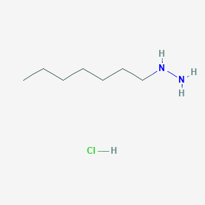 molecular formula C7H19ClN2 B8453223 Heptylhydrazine hydrochloride 