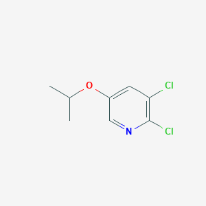 molecular formula C8H9Cl2NO B8460871 2,3-Dichloro-5-isopropoxypyridine 