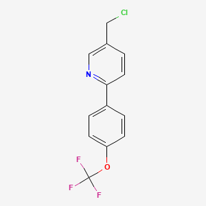 molecular formula C13H9ClF3NO B8461354 5-Chloromethyl-2-(4-trifluoromethoxy-phenyl)-pyridine 