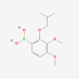 molecular formula C12H19BO5 B8462332 3,4-Dimethoxy-2-(isobutoxy)phenylboronic acid 