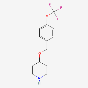 molecular formula C13H16F3NO2 B8462516 4-((4-(Trifluoromethoxy)benzyl)oxy)piperidine 
