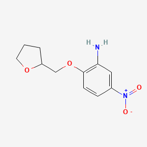 molecular formula C11H14N2O4 B8467260 2-Amino-4-nitrophenyl tetrahydrofurfuryl ether 