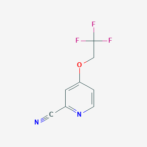 molecular formula C8H5F3N2O B8468813 4-(2,2,2-Trifluoroethoxy)pyridine-2-carbonitrile 