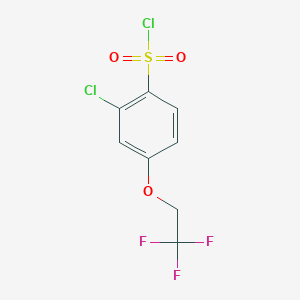 molecular formula C8H5Cl2F3O3S B8473642 2-Chloro-4-(2,2,2-trifluoroethoxy)benzene sulfonyl chloride 