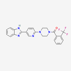 molecular formula C24H20F3N5O B8475265 Piperazine,1-[5-(1h-benzo[d]imidazol-2-yl)-2-pyridinyl]-4-[2-(trifluoromethyl)benzoyl]- 