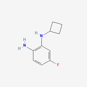 molecular formula C10H13FN2 B8477501 N2-cyclobutyl-4-fluorobenzene-1,2-diamine 