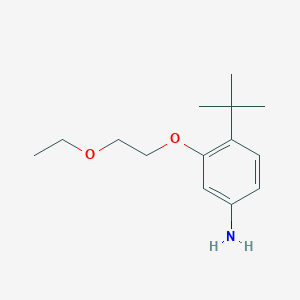 molecular formula C14H23NO2 B8478164 3-(2-Ethoxyethoxy)-4-tert-butylbenzenamine 