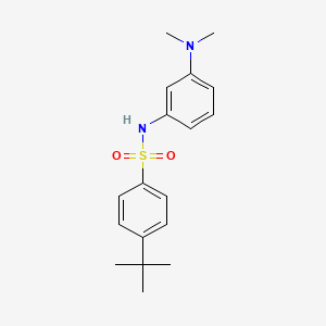 molecular formula C18H24N2O2S B8482013 4-tert-Butyl-N-(3-dimethylamino-phenyl)-benzenesulfonamide 