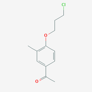 molecular formula C12H15ClO2 B8483065 1-[4-(3-Chloropropoxy)-3-methylphenyl]ethanone CAS No. 111627-47-5