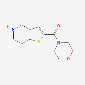 2-(Morpholine-4-carbonyl)-4,5,6,7-tetrahydro-thieno[3,2-c]pyridine